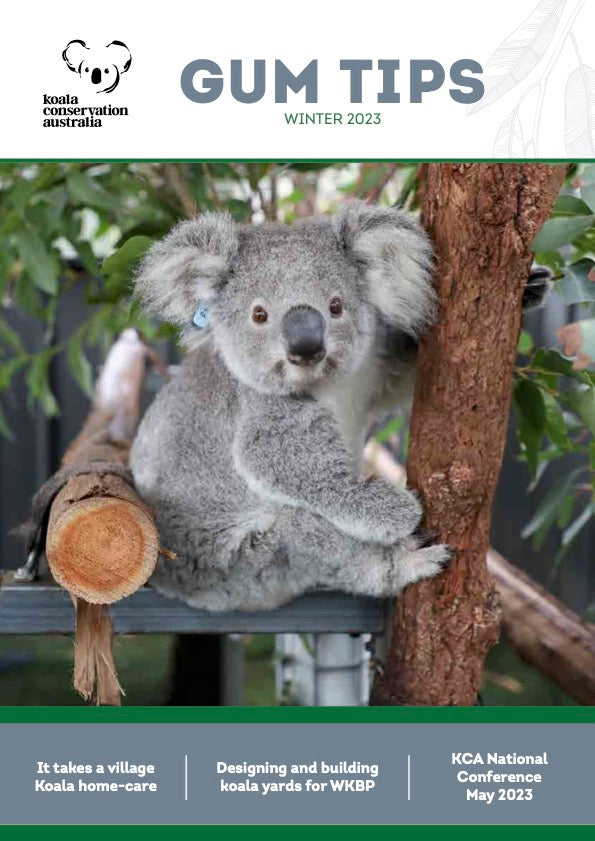 🥇 Koala Babycare - Test & Avis (2023) 